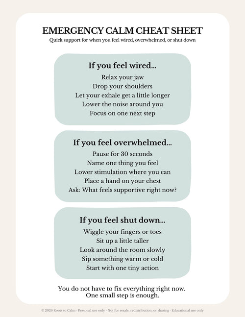 Emergency Calm Cheat Sheet with text on a light background