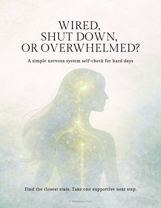 Wired, Shut Down or Overwhelmed? — A Nervous System Self-Check Guide